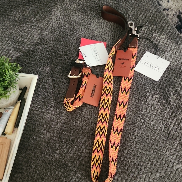 Missoni Dog Collar and Leash